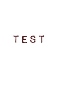 (B) スタンダード ボーン製ニードルケース フランスアンティーク